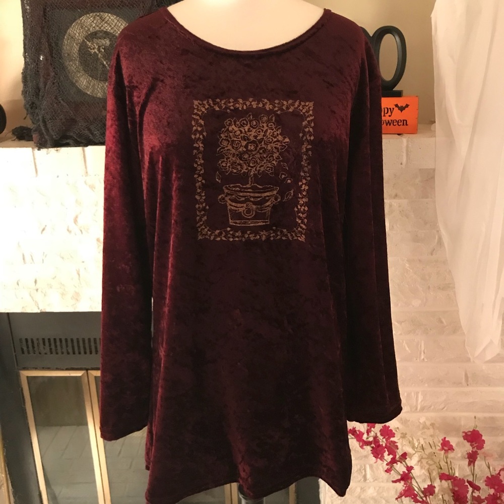 Ladies Velvety Top Like New